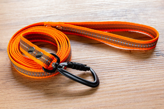 Orange Reflective Non-slip Dog Leash with Twist-Lock carabiner, 20 mm