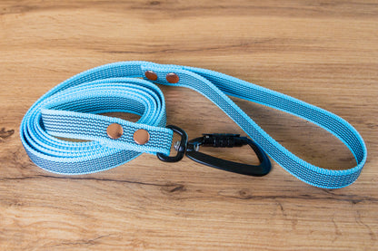 Sky blue Non-slip Dog Leash with Twist-Lock carabiner, 20 mm