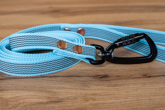 Sky blue Non-slip Dog Leash with Twist-Lock carabiner, 20 mm