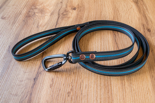 Black & Blue Non-slip Dog Leash with Twist-Lock carabiner, 20 mm