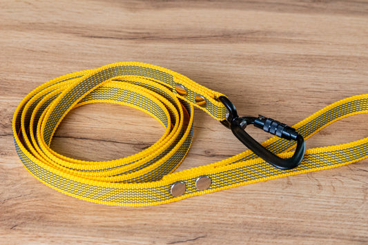 Yellow Non-slip Dog Leash with Twist-Lock carabiner, 20 mm