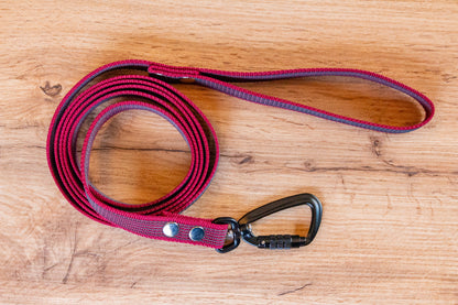 Burgundy Non-slip Dog Leash with Twist-Lock carabiner, 20 mm