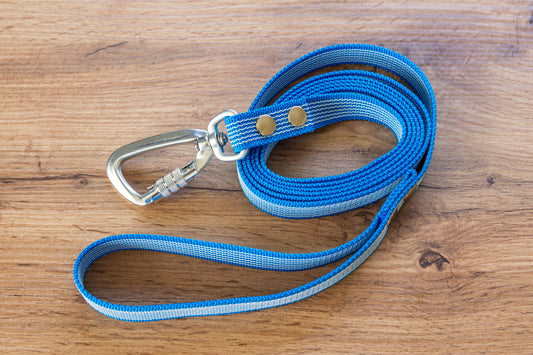 Turquoise Non-slip Dog Leash with Twist-Lock carabiner, 20 mm