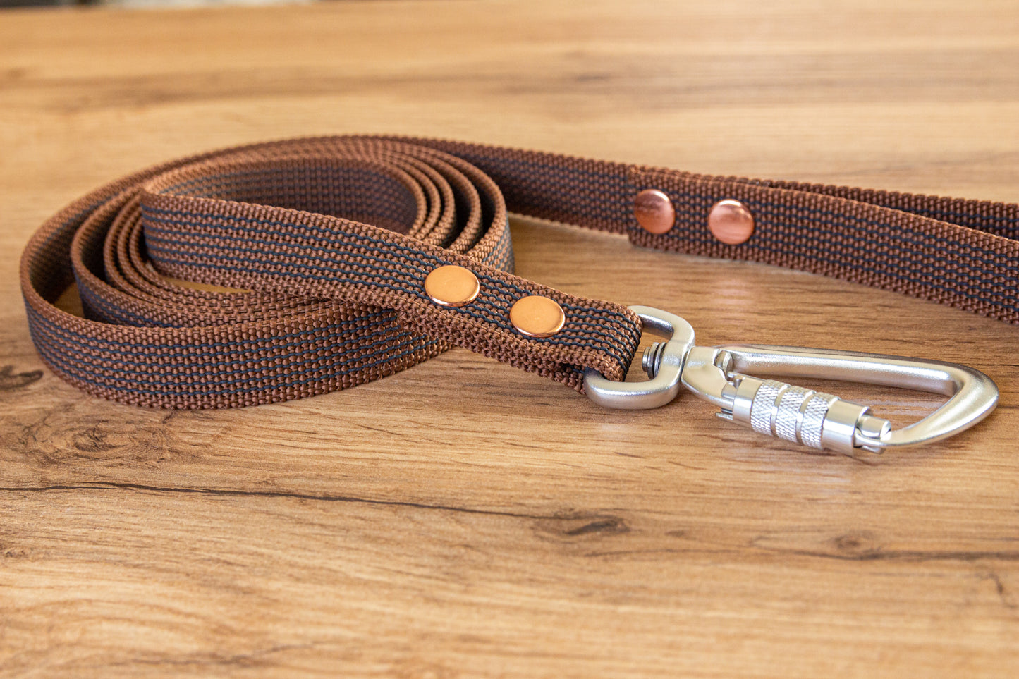 Brown Non-slip Dog Leash with Twist-Lock carabiner, 20 mm