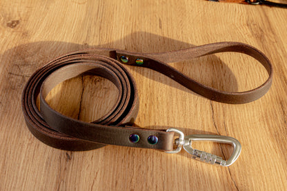 Dark Brown Leather Dog Leash with Twist-Lock carabiner, 20 mm