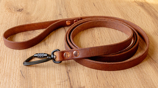 Light Brown Leather Dog Leash with Twist-Lock carabiner, 20 mm