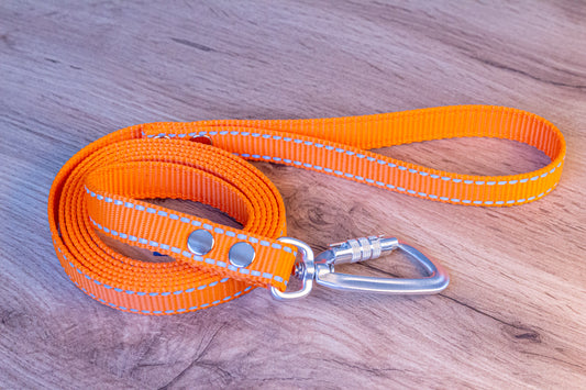 Orange Reflective Dog Leash with Twist-Lock carabiner, 20 mm