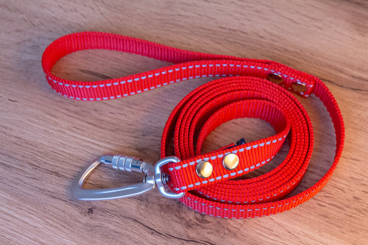 Red Reflective Dog Leash with Twist-Lock carabiner, 20 mm