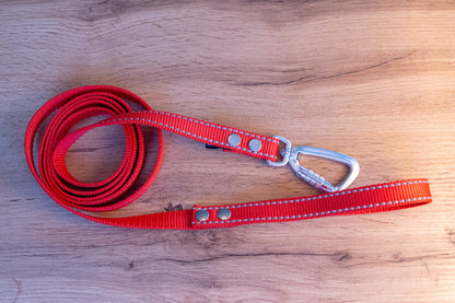 Red Reflective Dog Leash with Twist-Lock carabiner, 20 mm