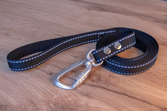 Black Reflective Dog Leash with Twist-Lock carabiner, 20 mm